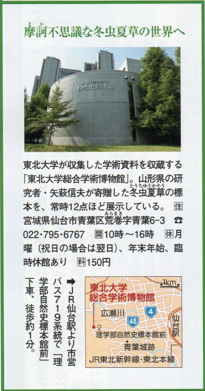 東北大学理学部自然史標本館の紹介