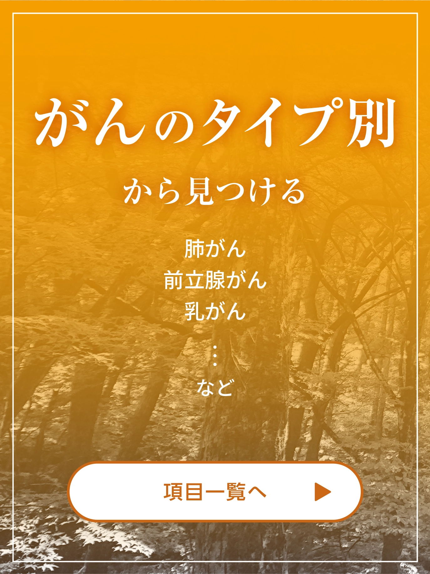 がんのタイプ別から見つける