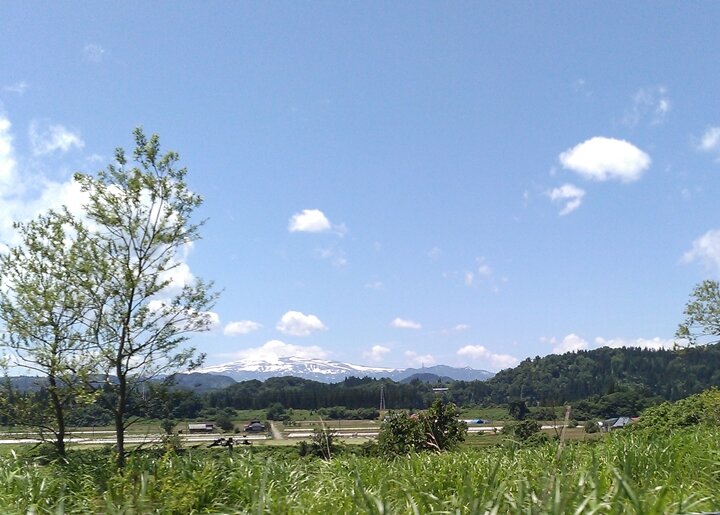 KIMG_gatsusan2025_720_0353.JPG