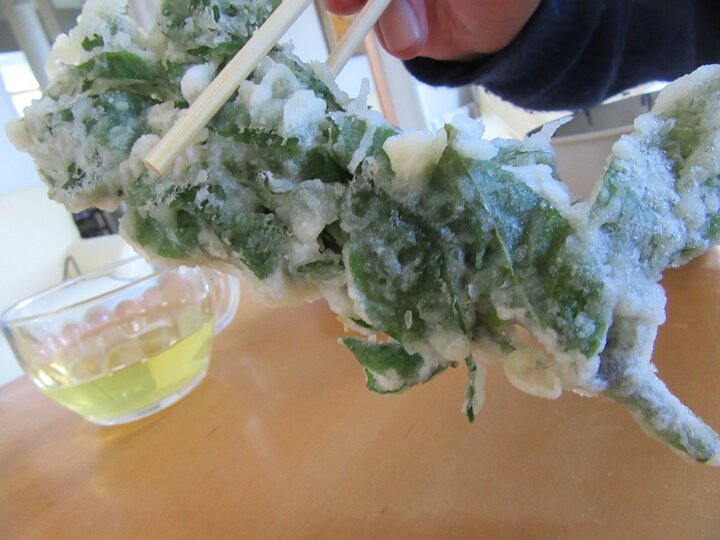 img_taranome3_2025_720_1779.JPG