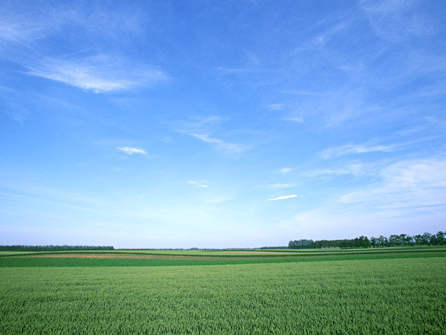 スクリーニングガイドライン