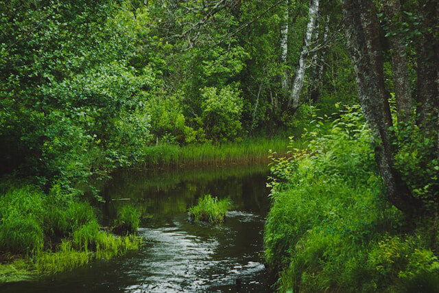mirov-vGAmCBKUO40-unsplash.jpg